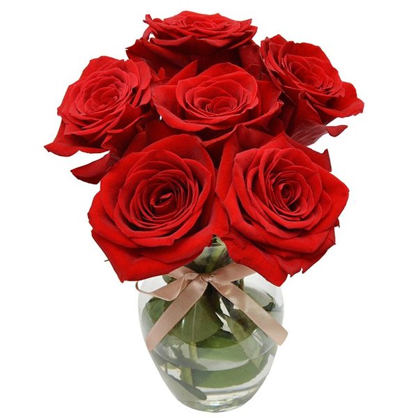 Surpresa de Rosas Vermelhas Colombianas