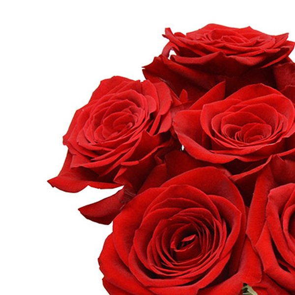 Surpresa de Rosas Vermelhas Colombianas