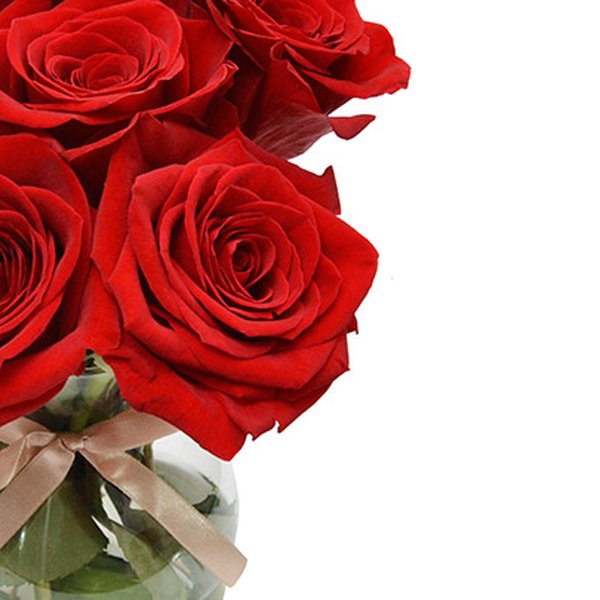 Surpresa de Rosas Vermelhas Colombianas