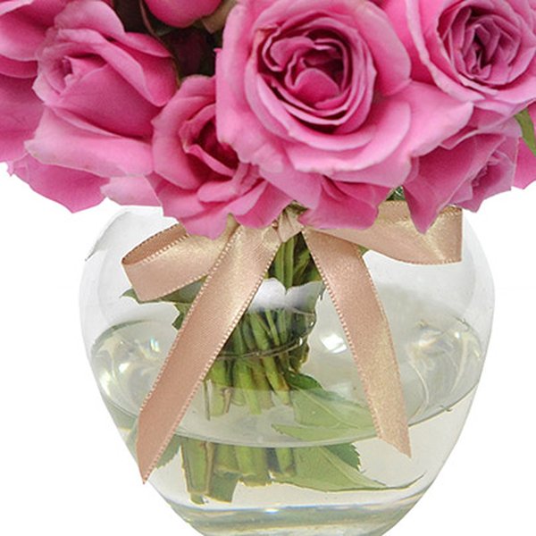 Brisa de Rosas Cor de Rosa