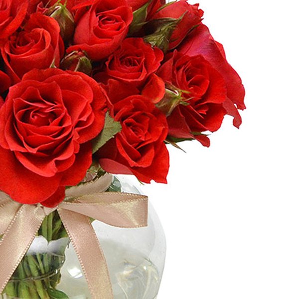 Brisa de Rosas Red