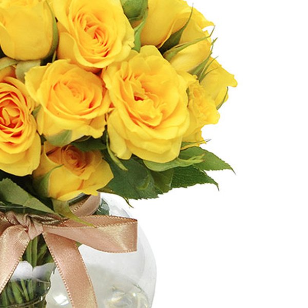 Brisa de Rosas Yellow