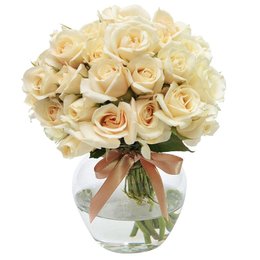 Imagem de Brisa de Rosas White