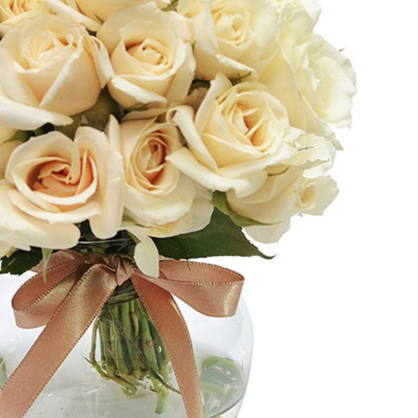 Brisa de Rosas White