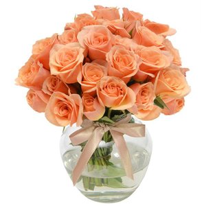 Imagem de Brisa de Rosas Champanhe