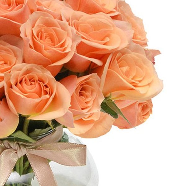 Brisa de Rosas Champanhe