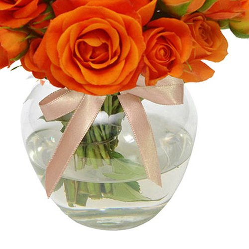 Brisa de Rosas Orange no Vaso