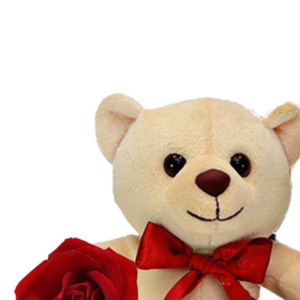 Leleco e Rosas Vermelhas