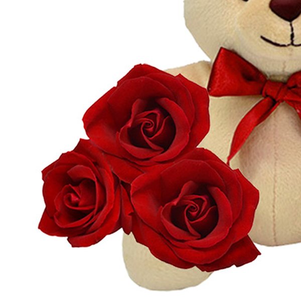 Leleco e Rosas Vermelhas