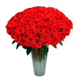 Imagem de 100 Rosas Colombianas no Vaso