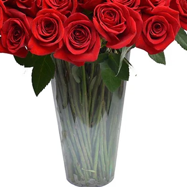 100 Rosas Colombianas no Vaso