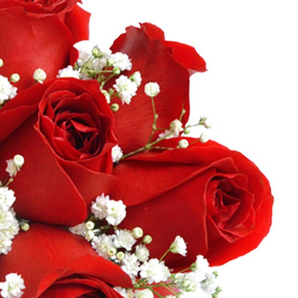 Mini Buquê Inspiração Vermelho 12 Rosas