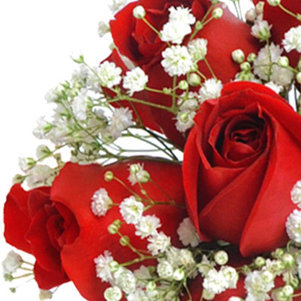 Mini Buquê Inspiração Vermelho 12 Rosas