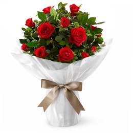 Imagem de Vaso de Mini Rosa Vermelha Plantada