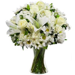 Imagem de Luxuoso Carinho