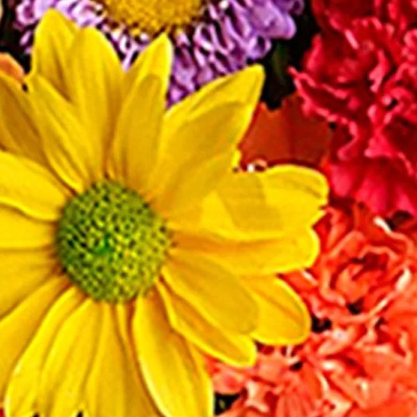 Luxuoso Mix de Flores Silvestres