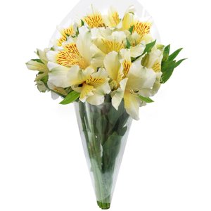 Imagem de Buquê de Astromélias Brancas com 10 unidades