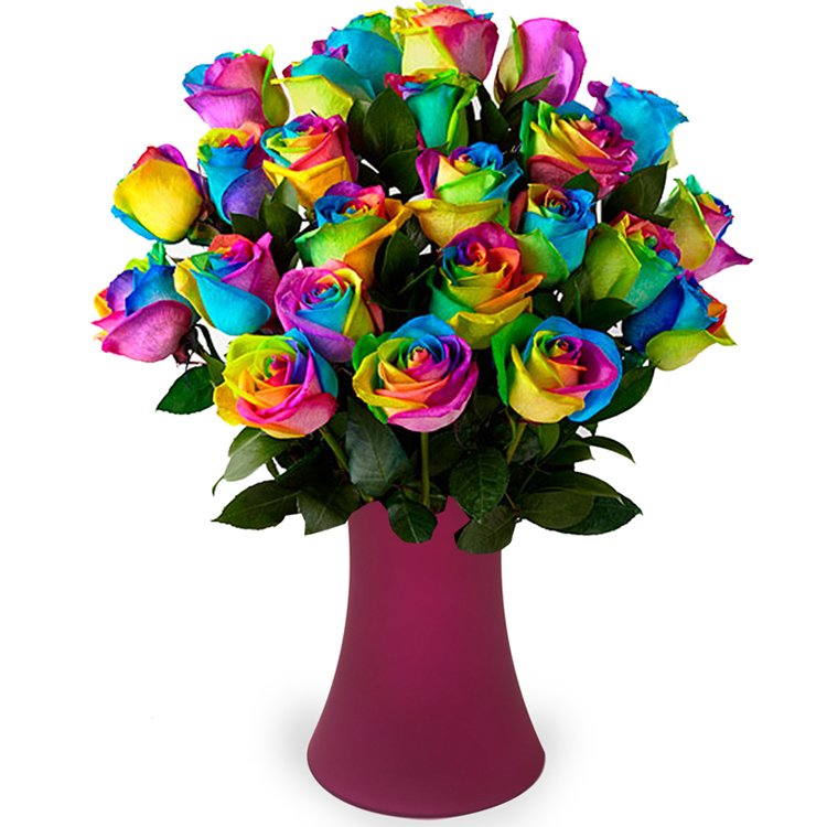 Luxuosas 24 Rosas Multicolor