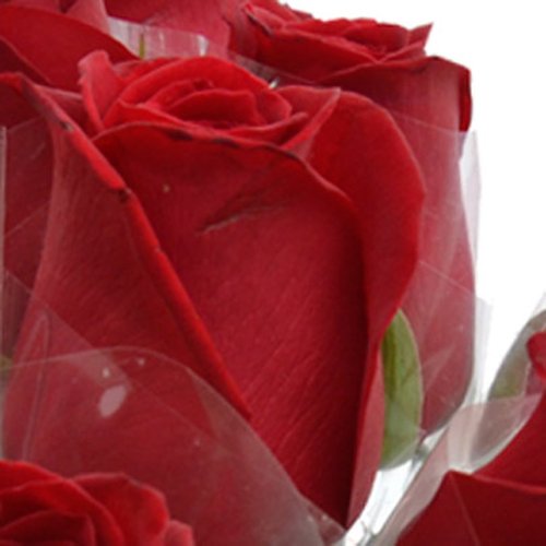 10 Rosas Vermelhas Avulsas Em Celofane