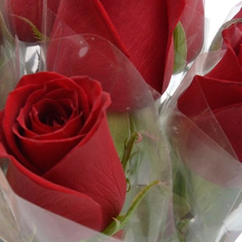 10 Rosas Vermelhas Avulsas Em Celofane
