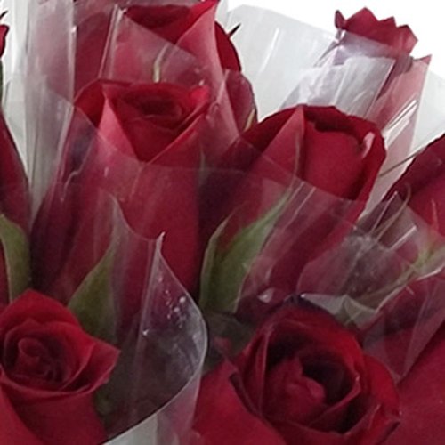 20 Rosas Vermelhas Avulsas Em Celofane