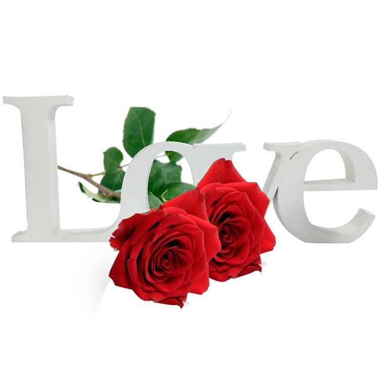 Letreiro Love & Rosas Importadas