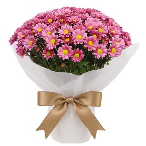 Imagem de Mini Vaso de Margaridinhas Lilás