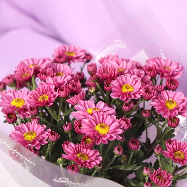 Mini Vaso de Margaridinhas Lilás