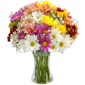 Imagem de Luxuoso Mix de Margaridas Coloridas
