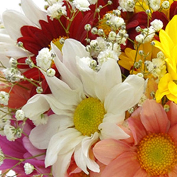 Delicado Mix de Flores Silvestres