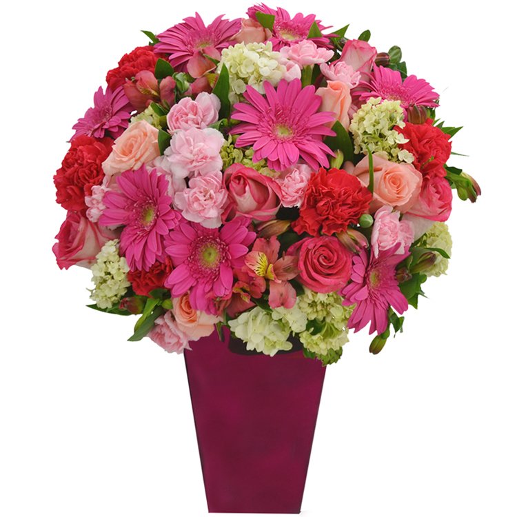 Flores Nobres Pink no vaso