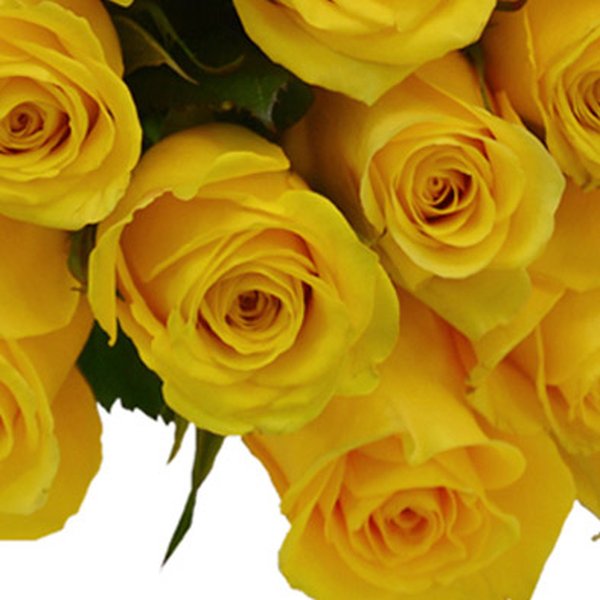 Buquê de 24 Rosas Amarelas