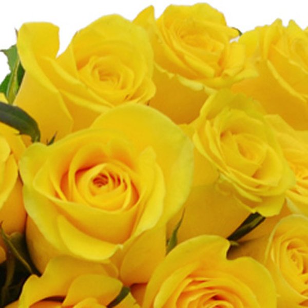 Buquê de 42 Rosas Amarelas