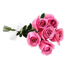 Imagem de Buquê de 6 Rosas Lilás