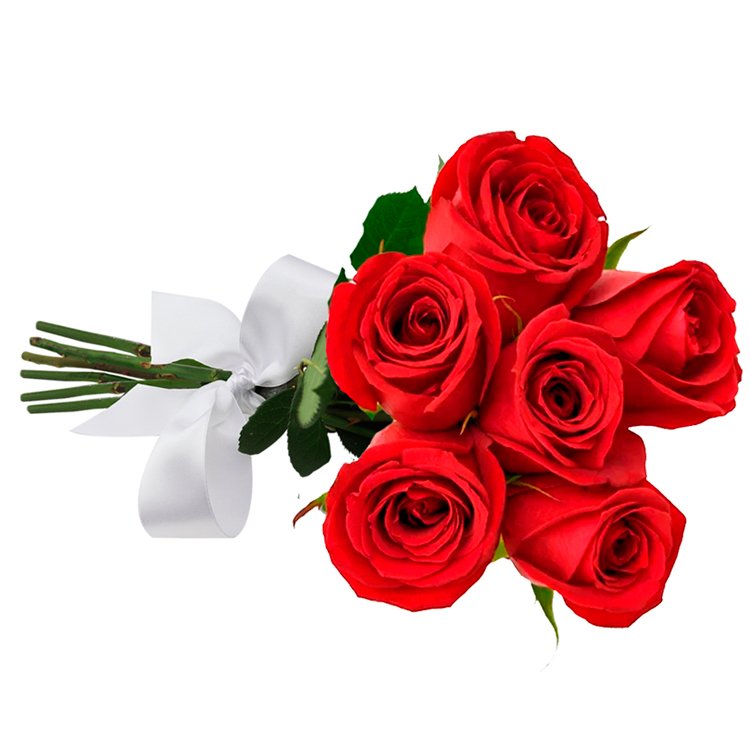 Buquê de Rosas Vermelhas 6 Unidades | Giuliana Flores