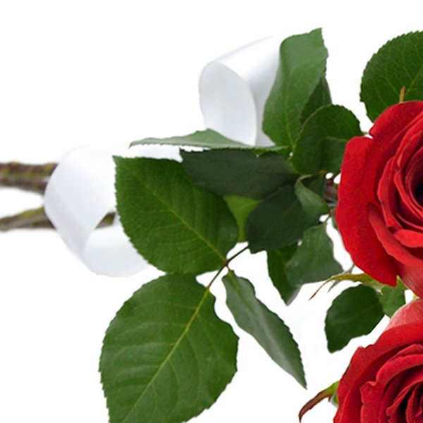 Buquê de 6 Rosas Vermelhas