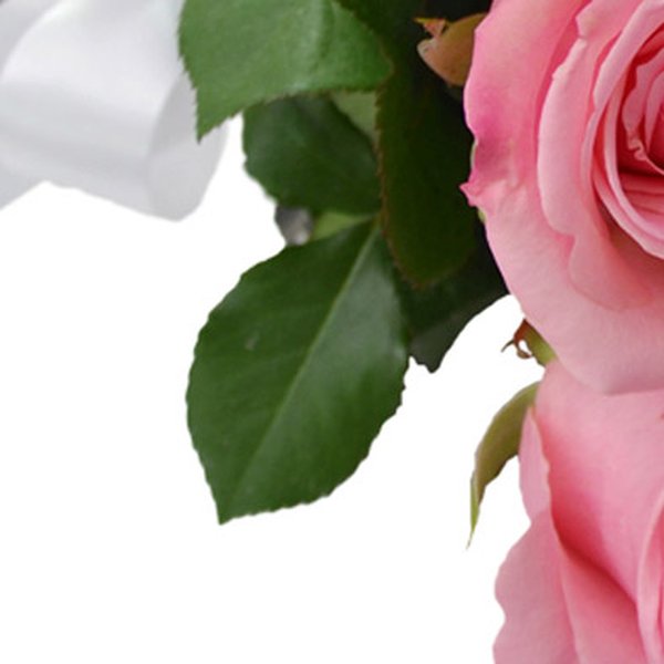 Buquê de 18 Rosas Cor de Rosa