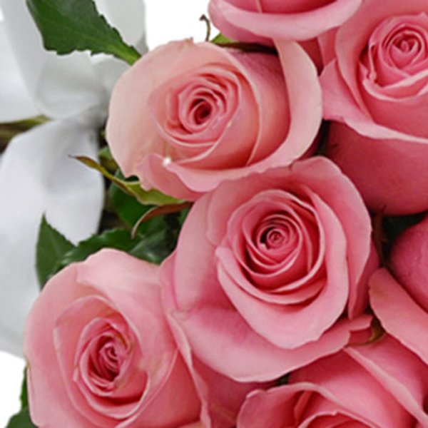 Buquê de 42 Rosas Cor de Rosa