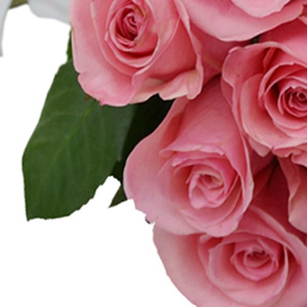 Buquê de 42 Rosas Cor de Rosa