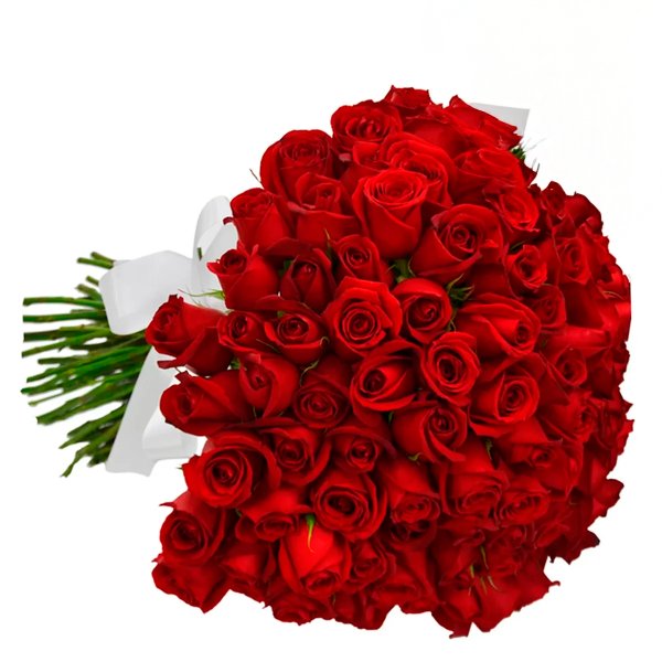 Buquê de 100 Rosas Vermelhas
