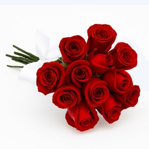 Imagem de Buquê de 12 Rosas Vermelhas