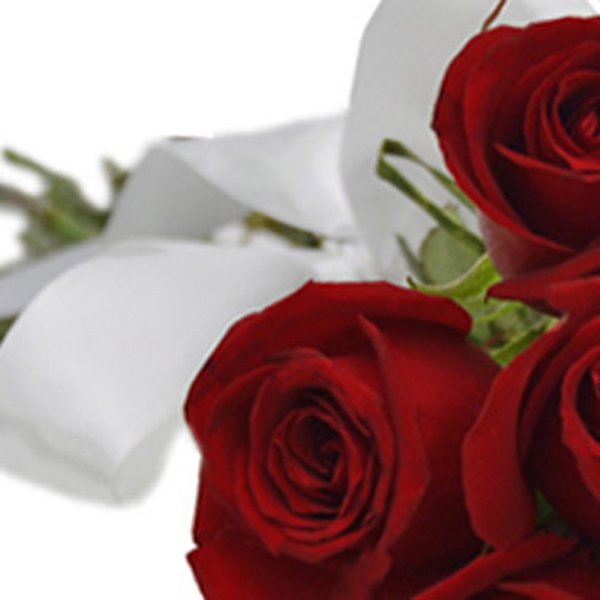 Buquê de 12 Rosas Vermelhas