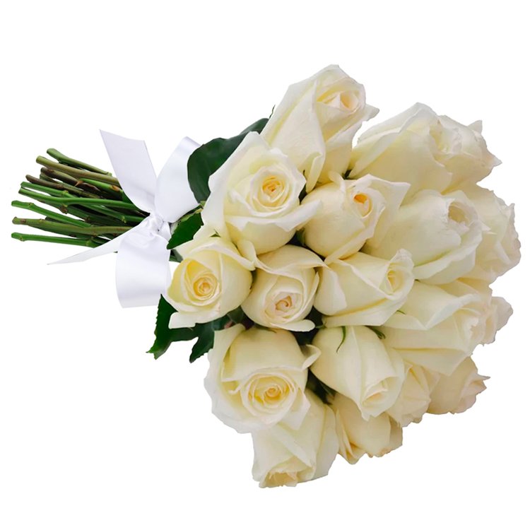 Buquê de 24 Rosas Brancas | Giuliana Flores