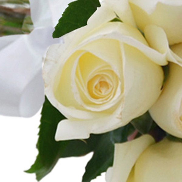 Buquê de 24 Rosas Brancas