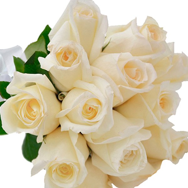 Buquê de 18 Rosas Brancas