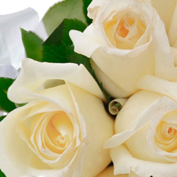 Buquê de 18 Rosas Brancas