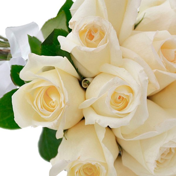 Buquê de 18 Rosas Brancas