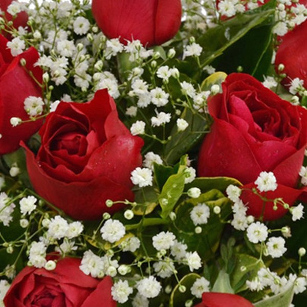 Cesta de 12 Rosas Vermelhas