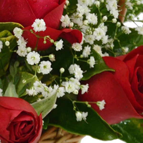 Cesta de 12 Rosas Vermelhas