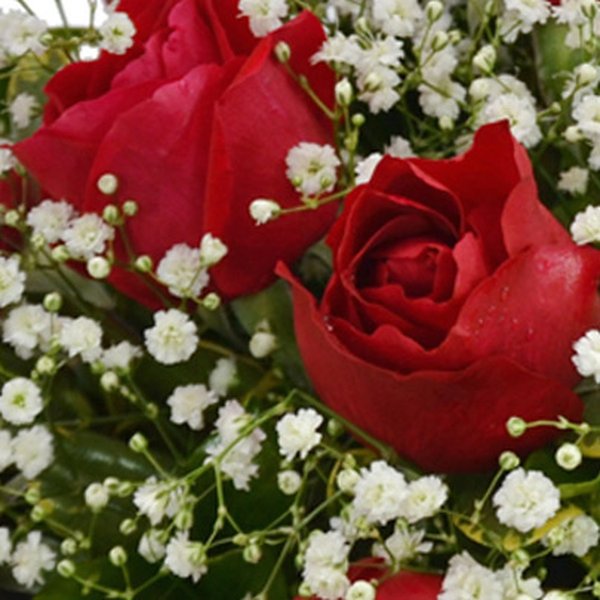 Cesta de 12 Rosas Vermelhas